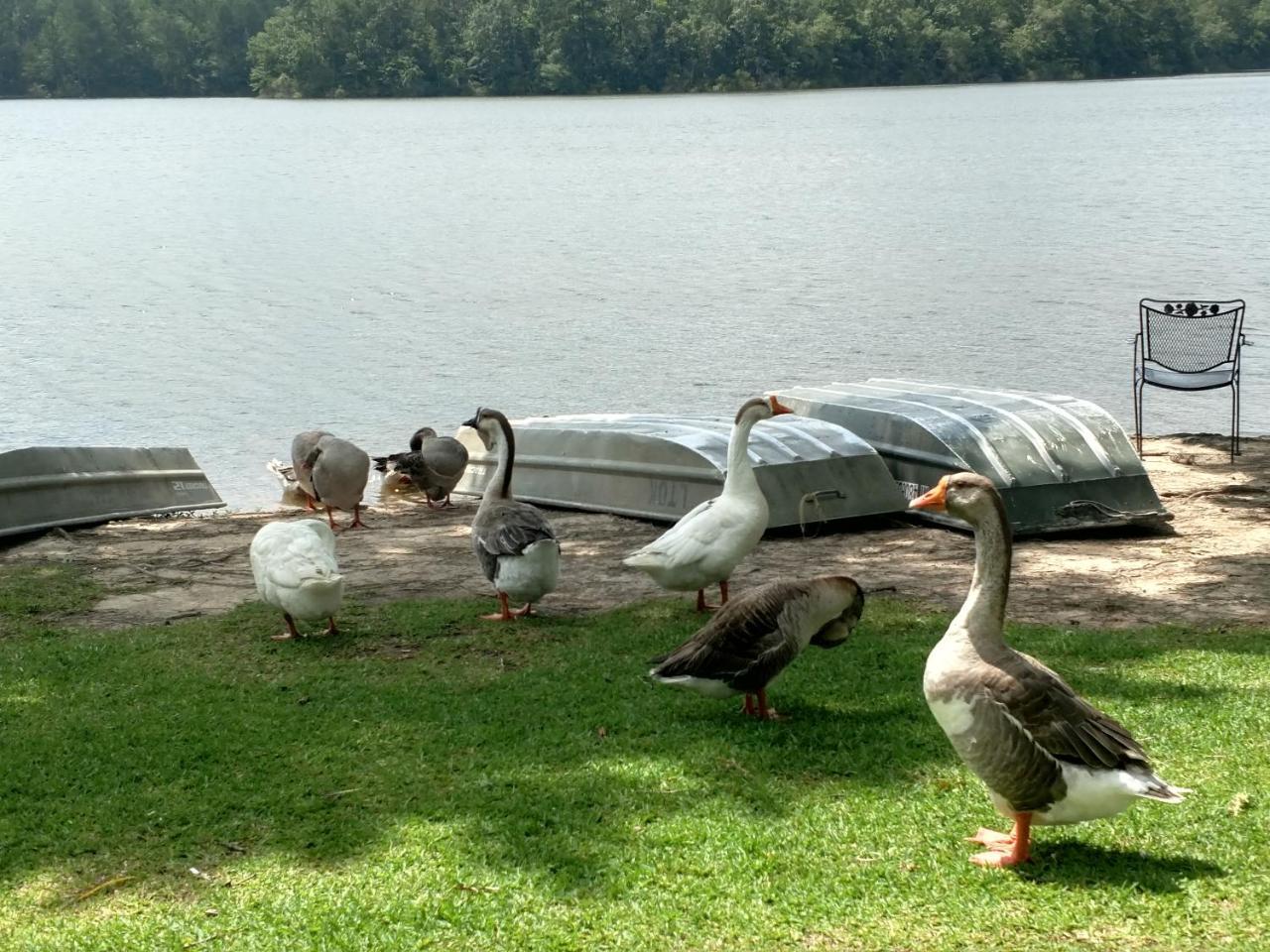 Lake Tiak - O'Khata Resort Louisville 外观 照片